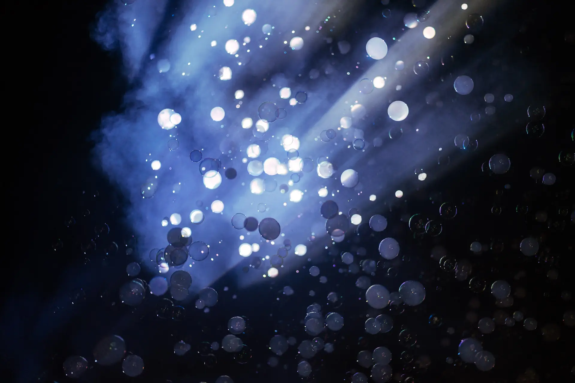 (c) Niklas Schnaubelt